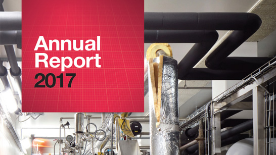 NNE Annual report 2017
