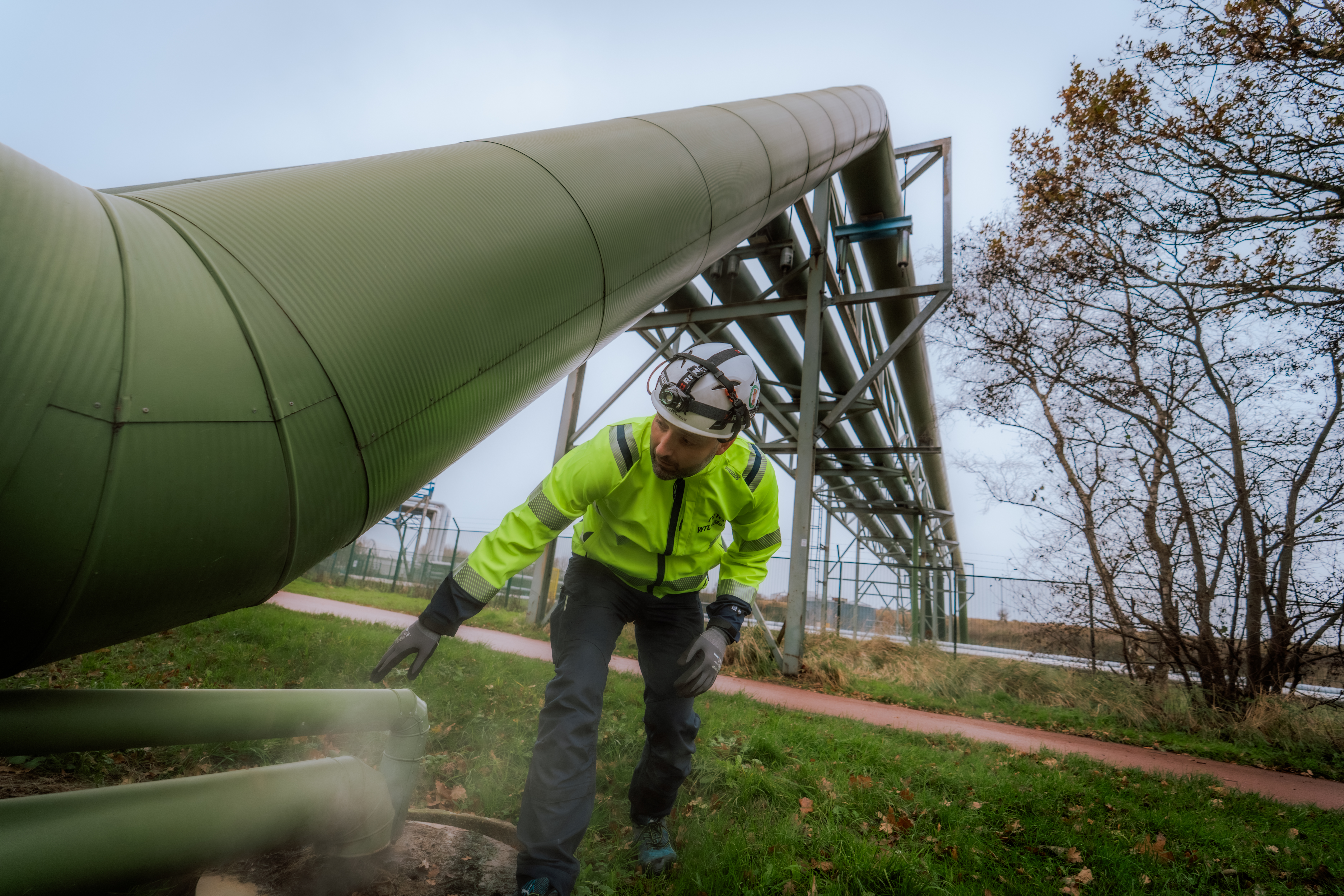 Martin Frame 6 Bred.jpg